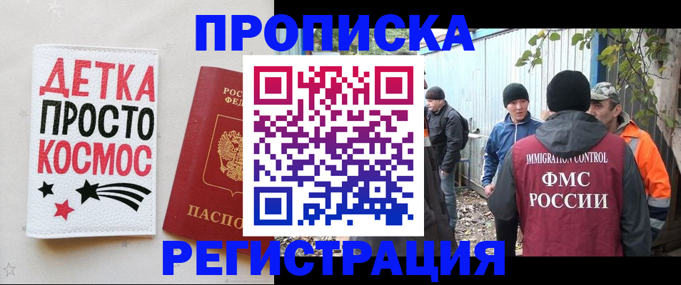 прописка поиск в Вельске